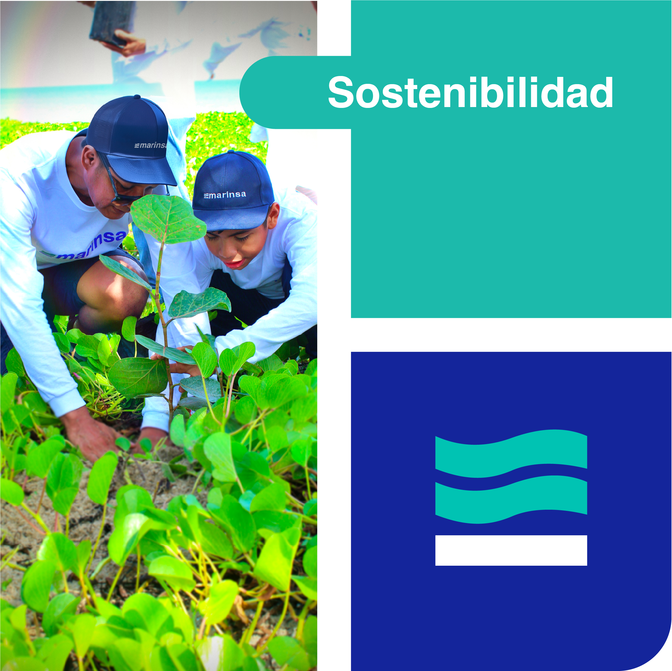 Sostenibilidad