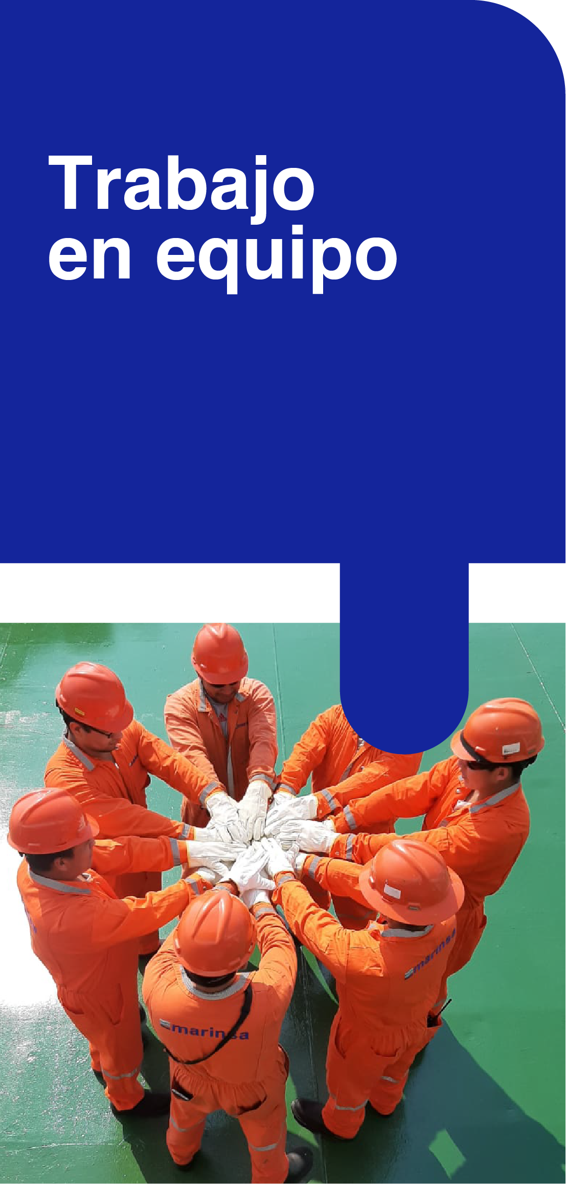 Trabajo en equipo